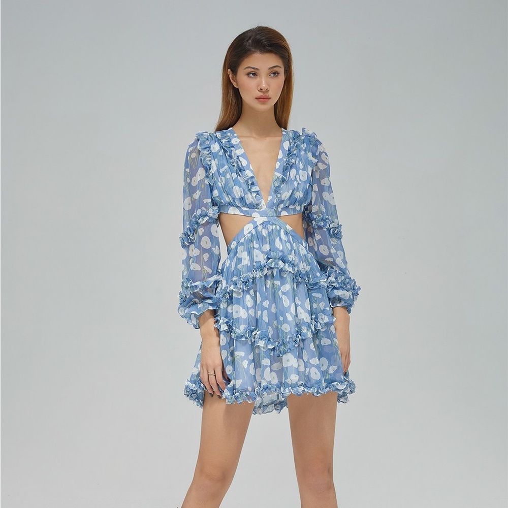Blue print dress